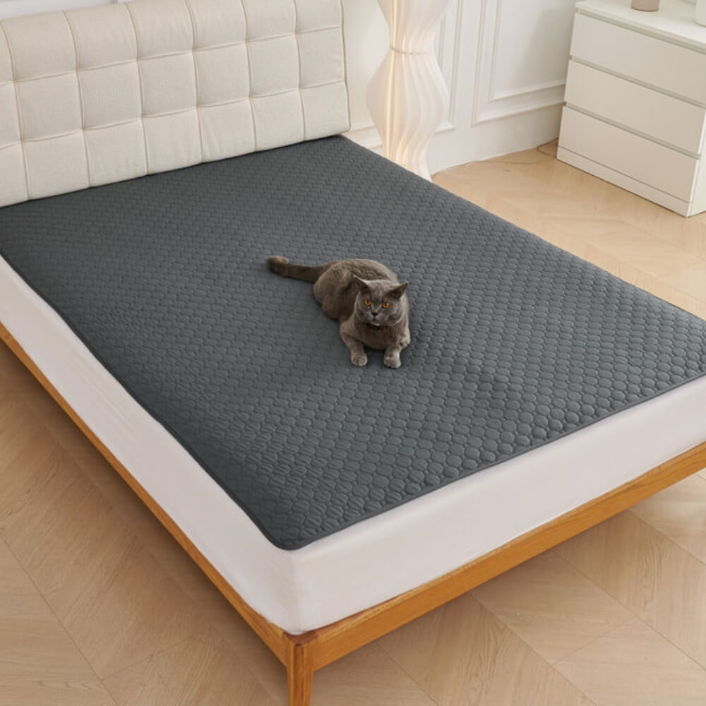 Estera absorbente multiusos a prueba de fugas y lavable para sofá y cama para mascotas