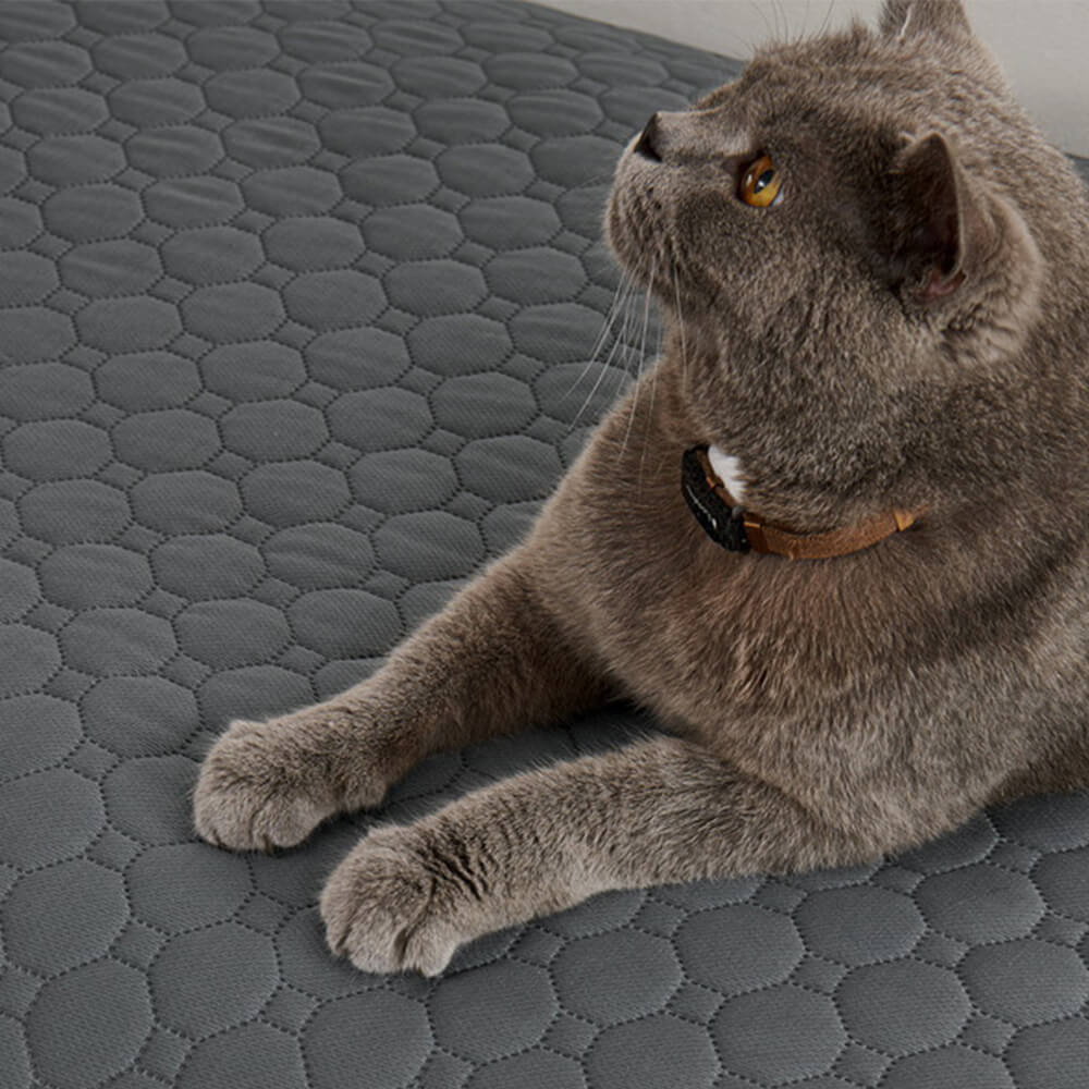 Estera absorbente multiusos a prueba de fugas y lavable para sofá y cama para mascotas