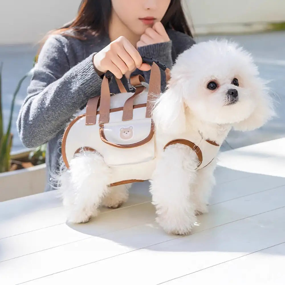 Mochila de transportista de perros pequeño de tracción portátil multifuncional