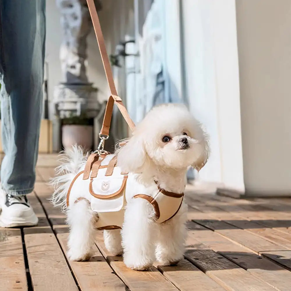 Mochila de transportista de perros pequeño de tracción portátil multifuncional