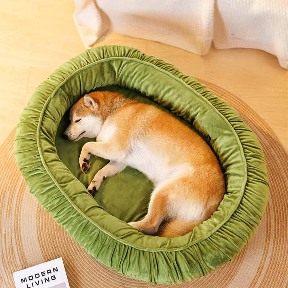 Cama desmontable para perros y gatos con soporte ortopédico ovalado y acogedora