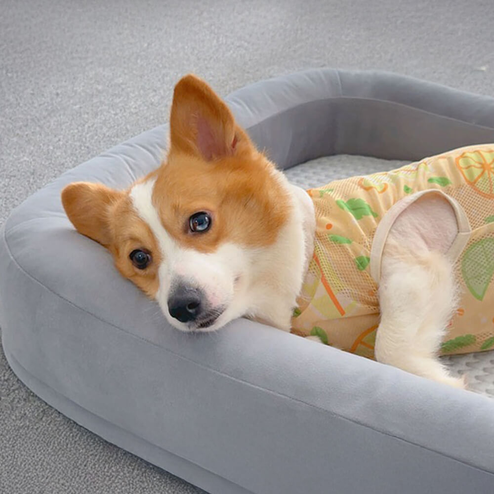 Cama para perros ovalada de temporada toda, reversible, lavable y de enfriamiento suave