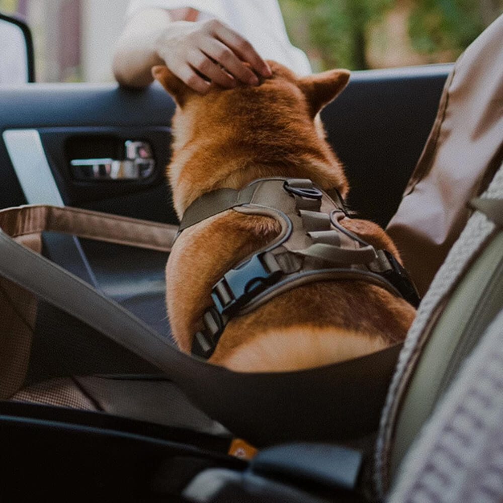 Manta de viaje para perros de asiento delantero, portátil, plegable, resistente al agua y a los arañazos
