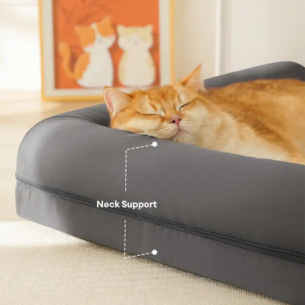 Cama ortopédica de espuma de huevo impermeable con lados elevados L para perros grandes