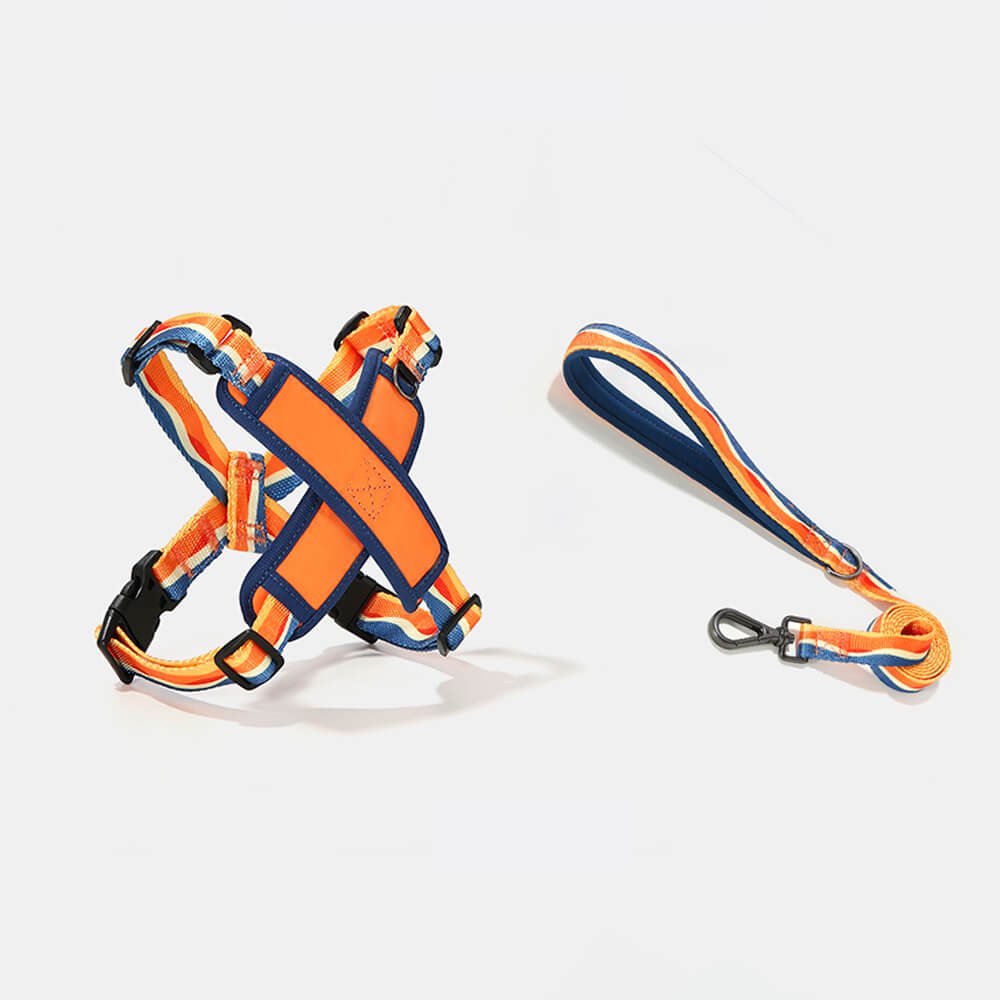 Arnés y Correa para Perro en Forma de X, Ajustable y Duradero