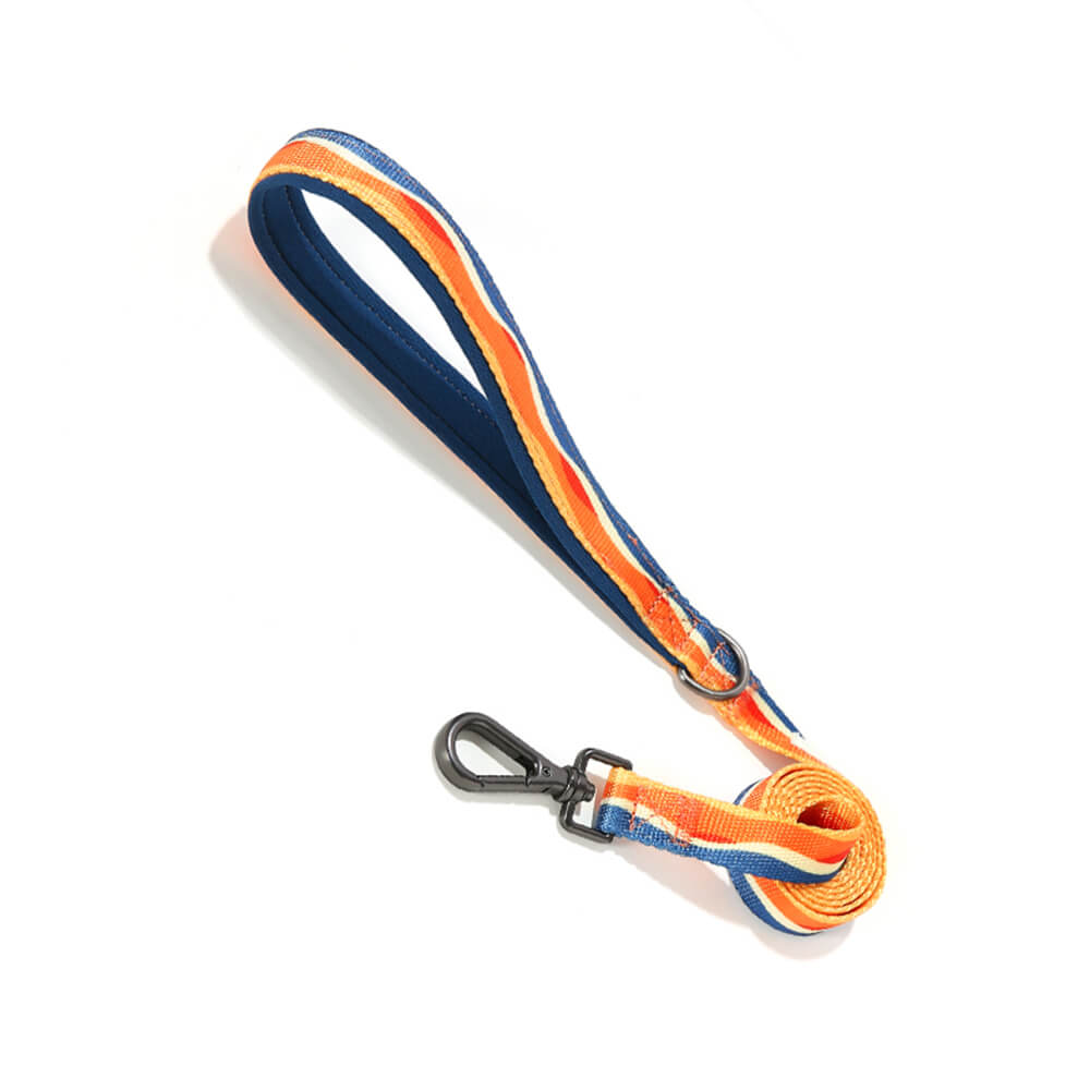 Arnés y Correa para Perro en Forma de X, Ajustable y Duradero