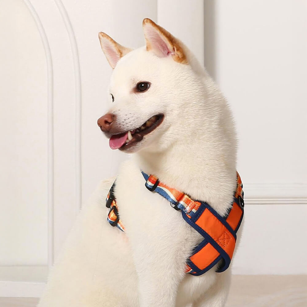 Arnés y Correa para Perro en Forma de X, Ajustable y Duradero