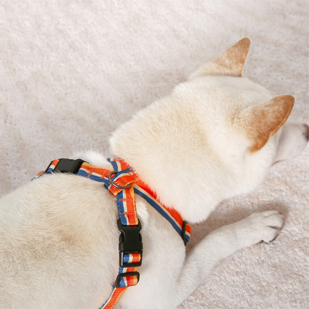 Arnés y Correa para Perro en Forma de X, Ajustable y Duradero