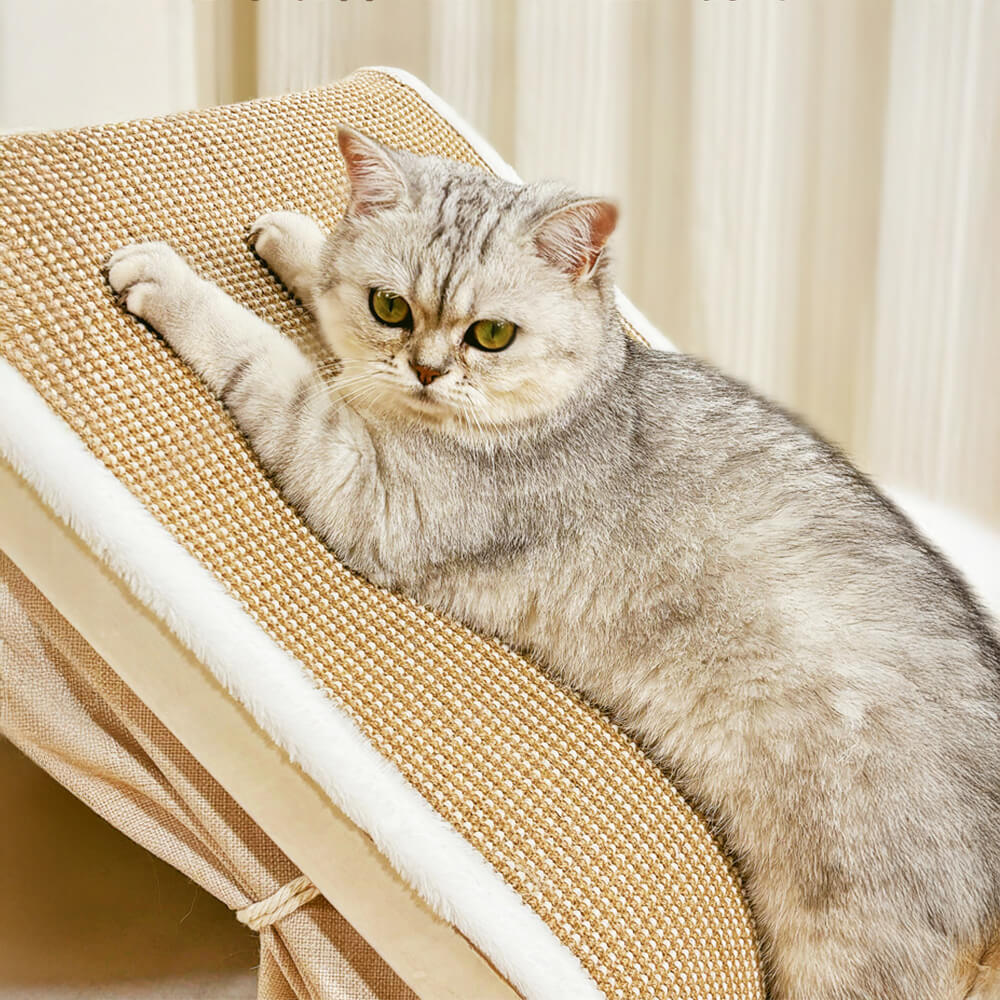 Tienda de campaña para gatos todo en uno con techo rascador y acogedora zona para dormir