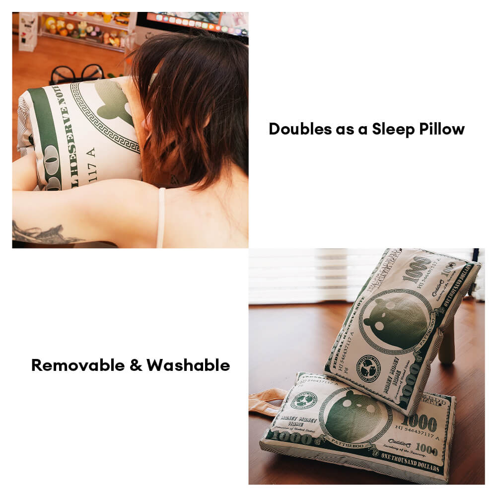 Cama para gatos temática de dinero de lona durable
