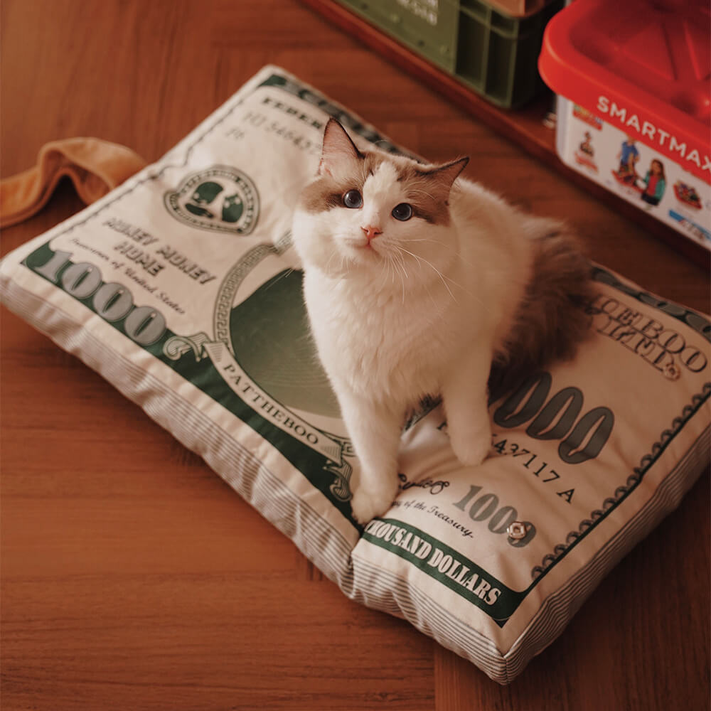 Cama para gatos temática de dinero de lona durable