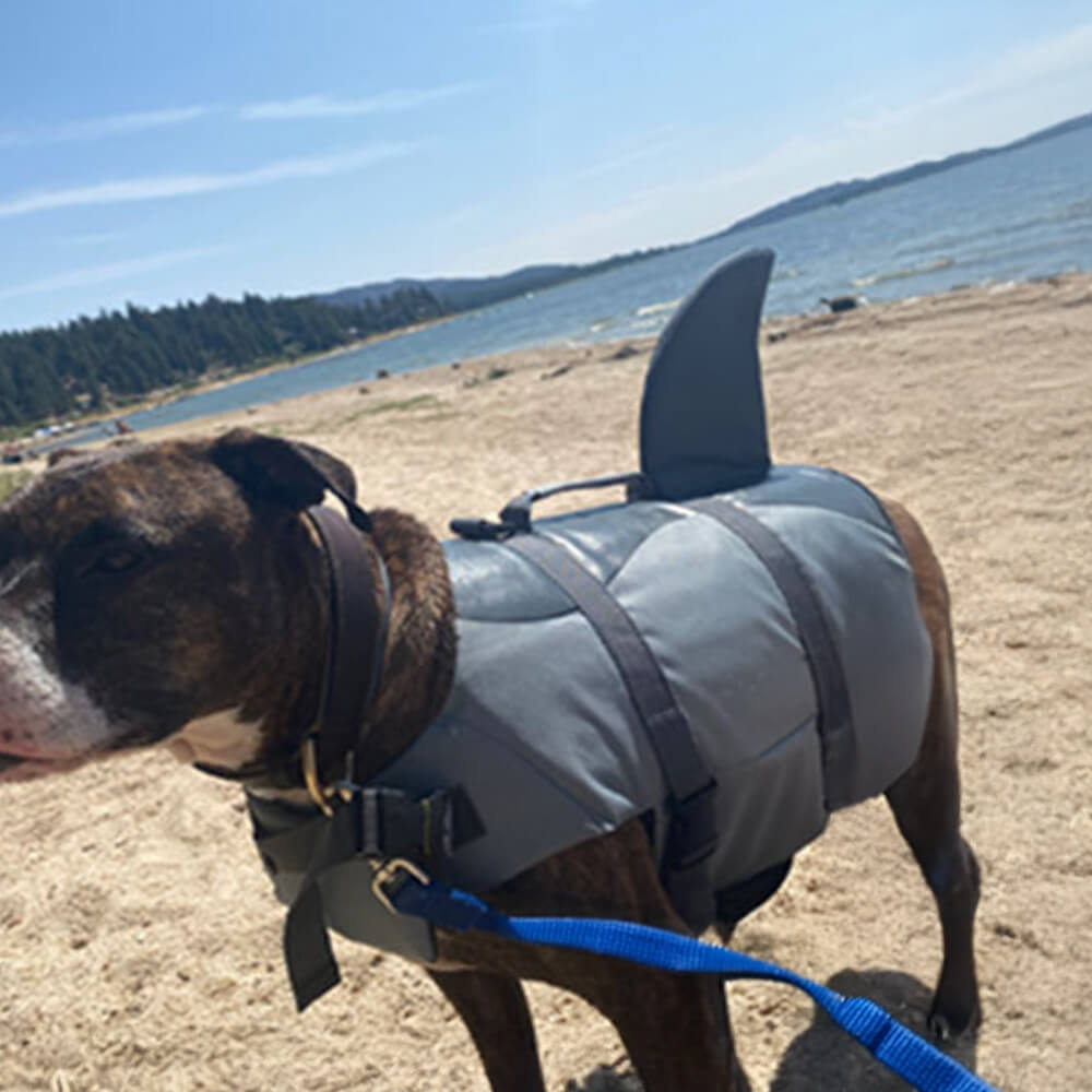 Chaleco salvavidas para perro de estilo sirena y tiburón, ajuste seguro
