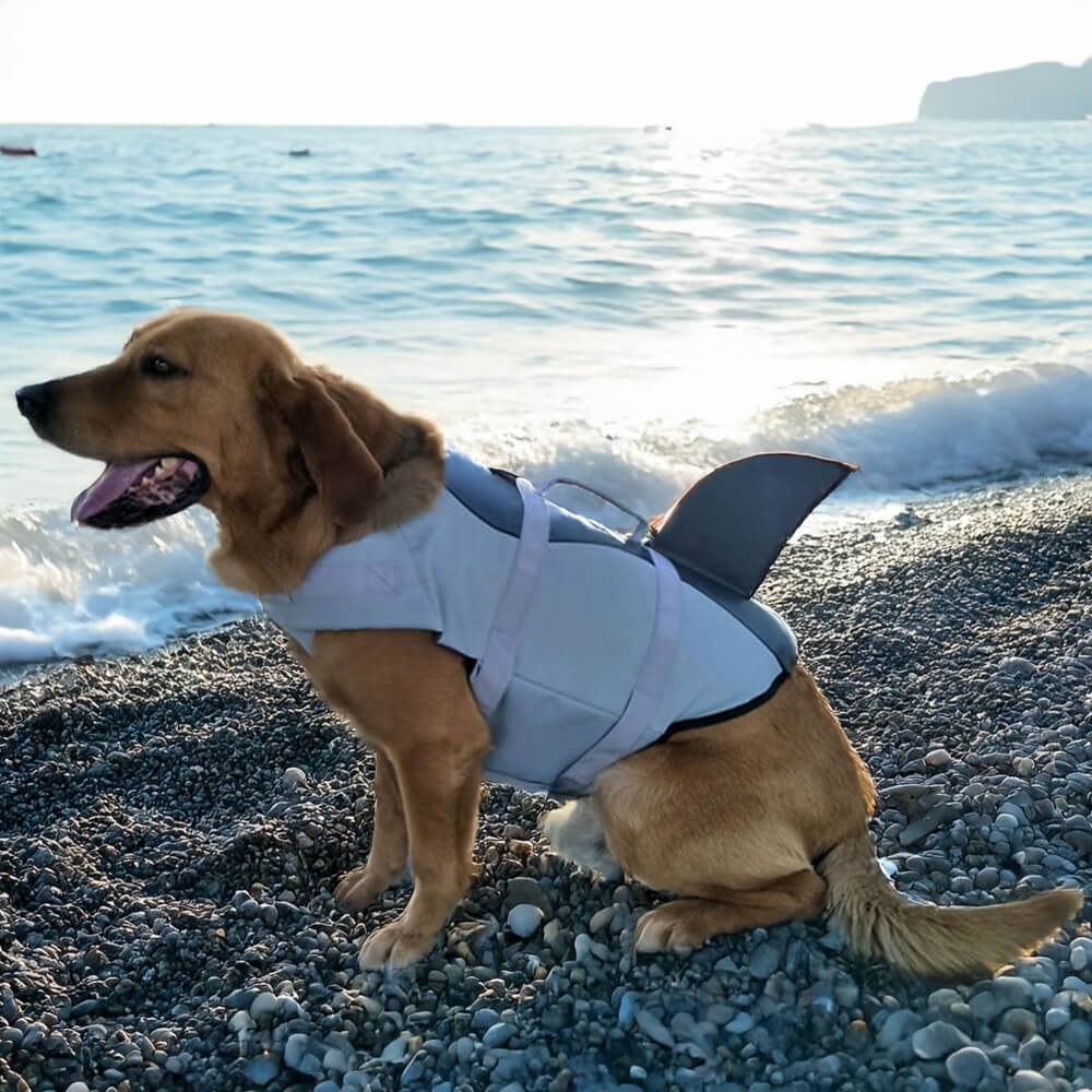 Chaleco salvavidas para perro de estilo sirena y tiburón, ajuste seguro