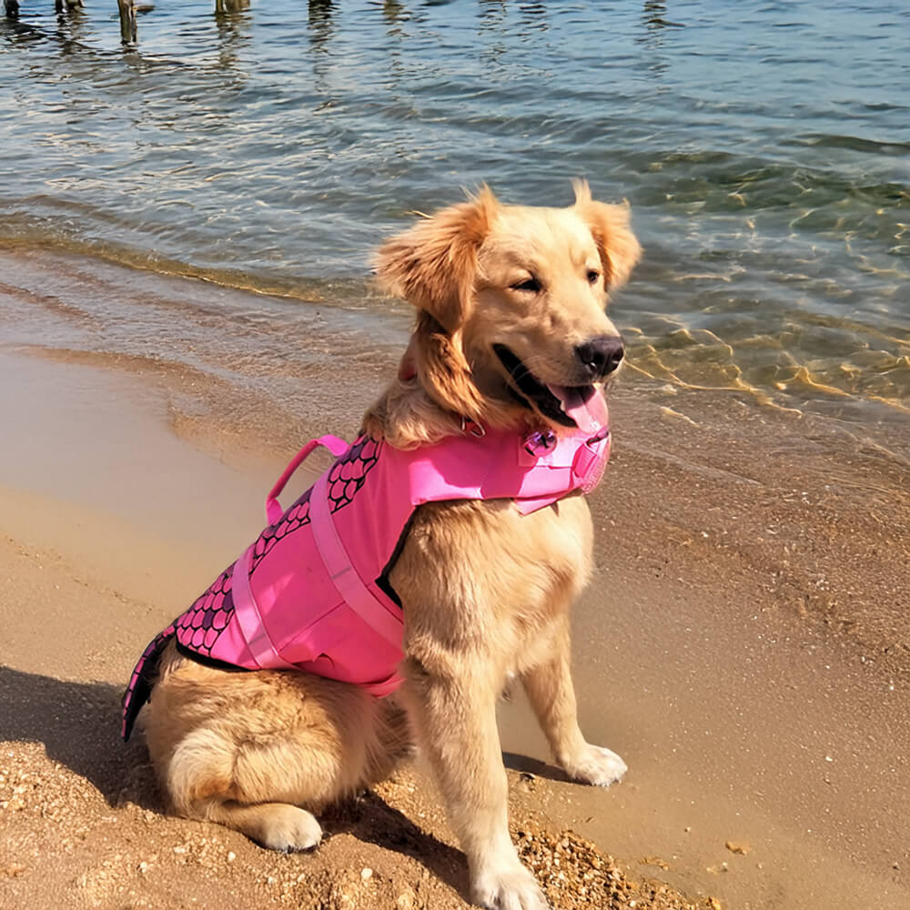 Chaleco salvavidas para perro de estilo sirena y tiburón, ajuste seguro