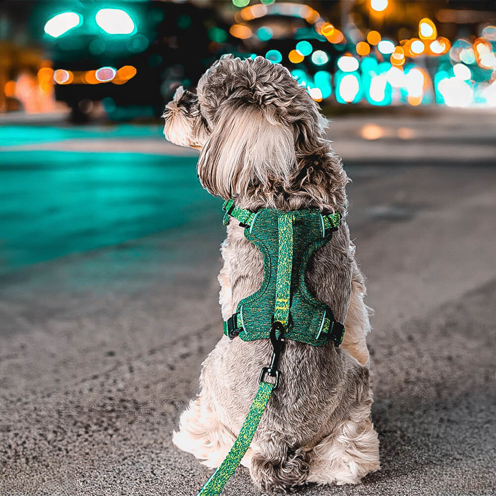 Arnés/correa para perros de tela reciclada ecológica