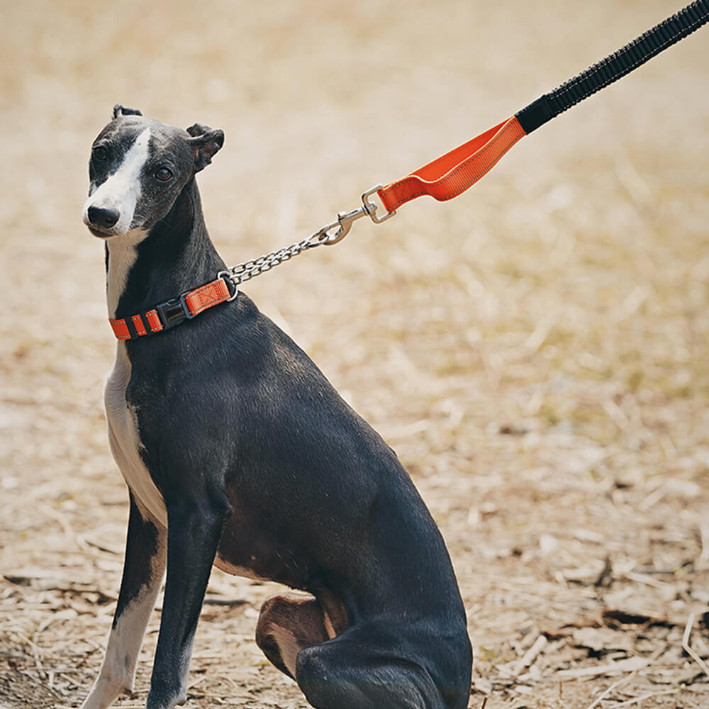 Collier et laisse pour chien anti-traction réfléchissants multifonctionnels