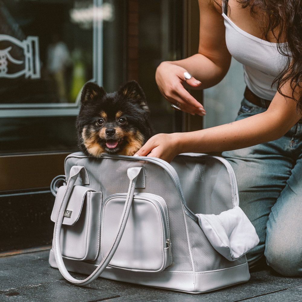 Carrier de mascotas de malla transpirable ligero - Urban Facil