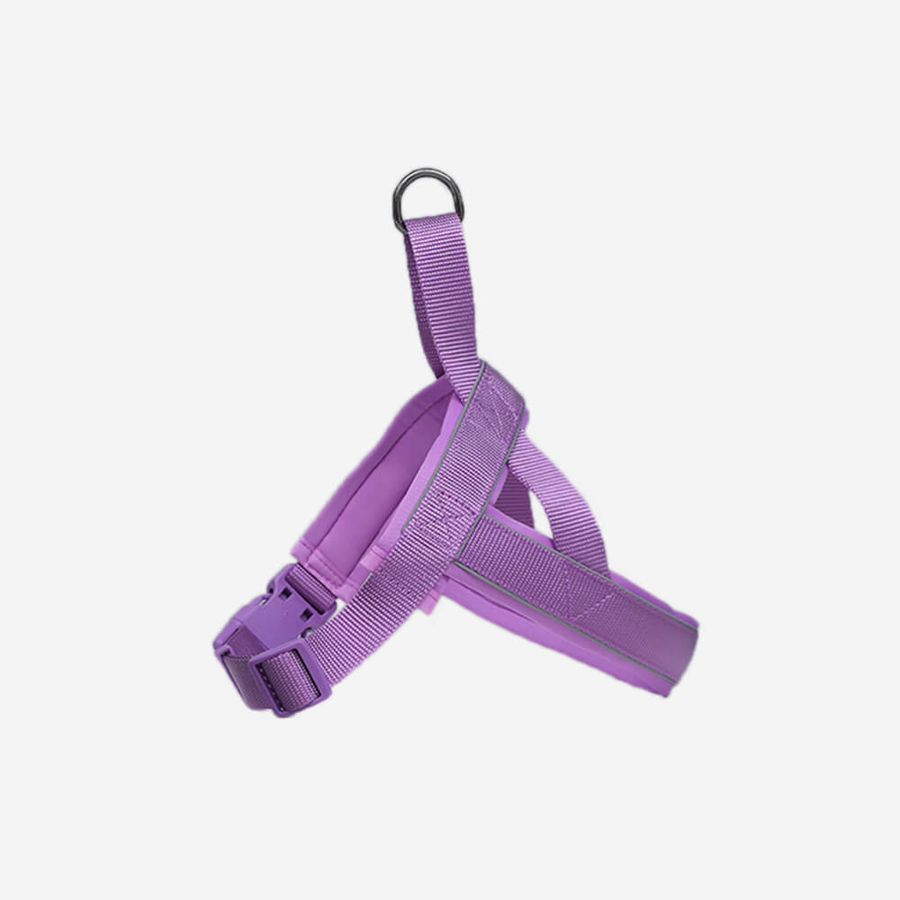 Nylon ajustable reflectante sin pulir arnés de perro y correa