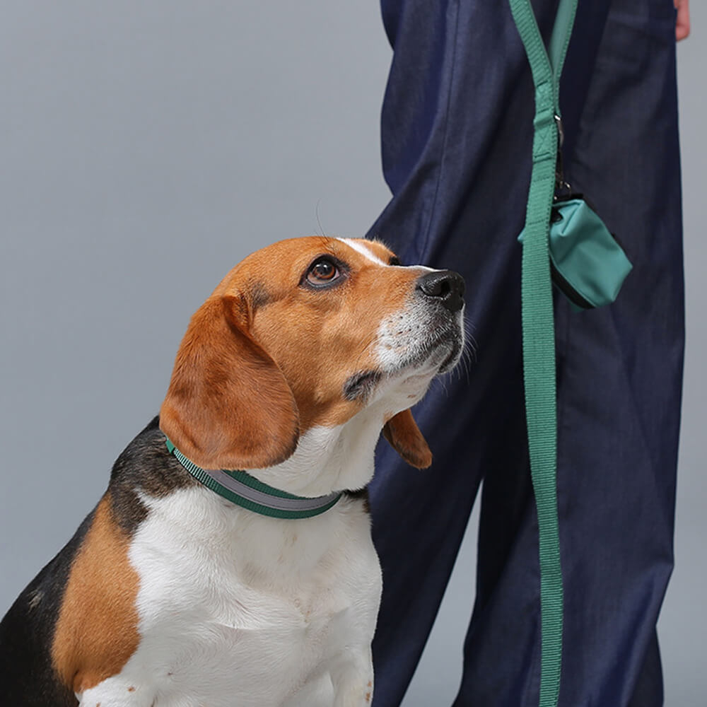 Nylon ajustable reflectante sin pulir arnés de perro y correa