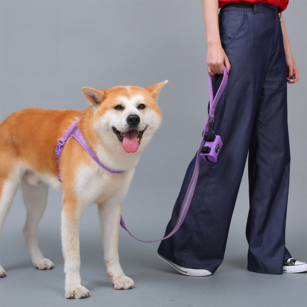 Nylon ajustable reflectante sin pulir arnés de perro y correa