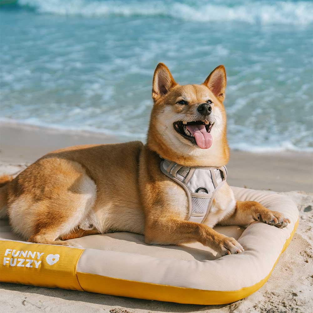Manta ortopédica para perros resistente al agua y a los arañazos de colores bloqueados para exteriores - Trek Lounge