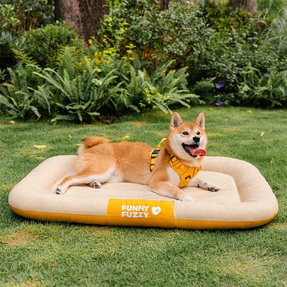 Manta ortopédica para perros resistente al agua y a los arañazos de colores bloqueados para exteriores - Trek Lounge