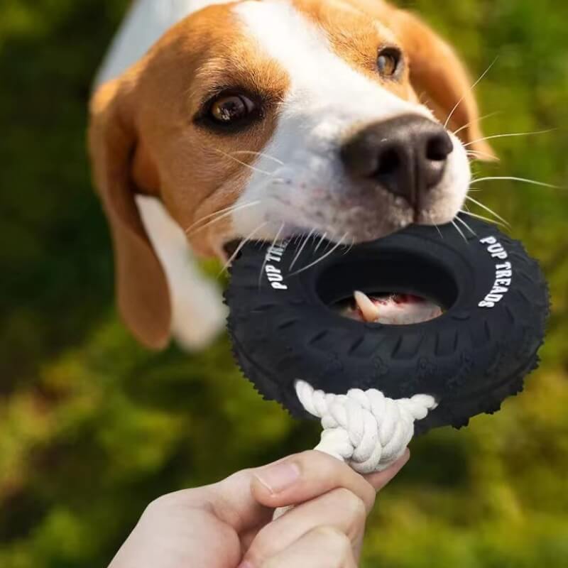 TOMO DE CABO TIEMA DIG Interactivo Toy dentición y juguete de masticación