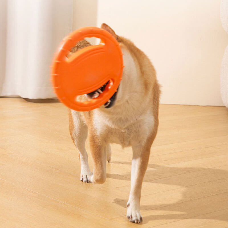 Volante de goma TOY TOY DISCURO DE PARTIVO DEL PERRO
