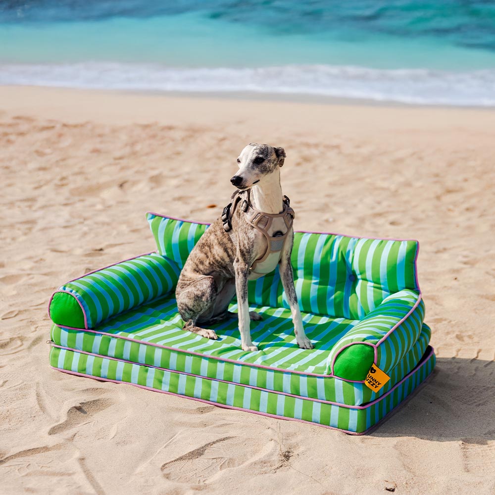 Cama de sofá de perros plegable de perros plegable impermeable de rayas - siesta soleada