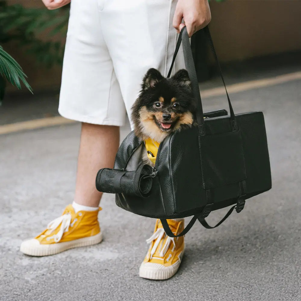 Asiento de coche para perros pequeño desmontable y elevado con consola central para viajes seguros