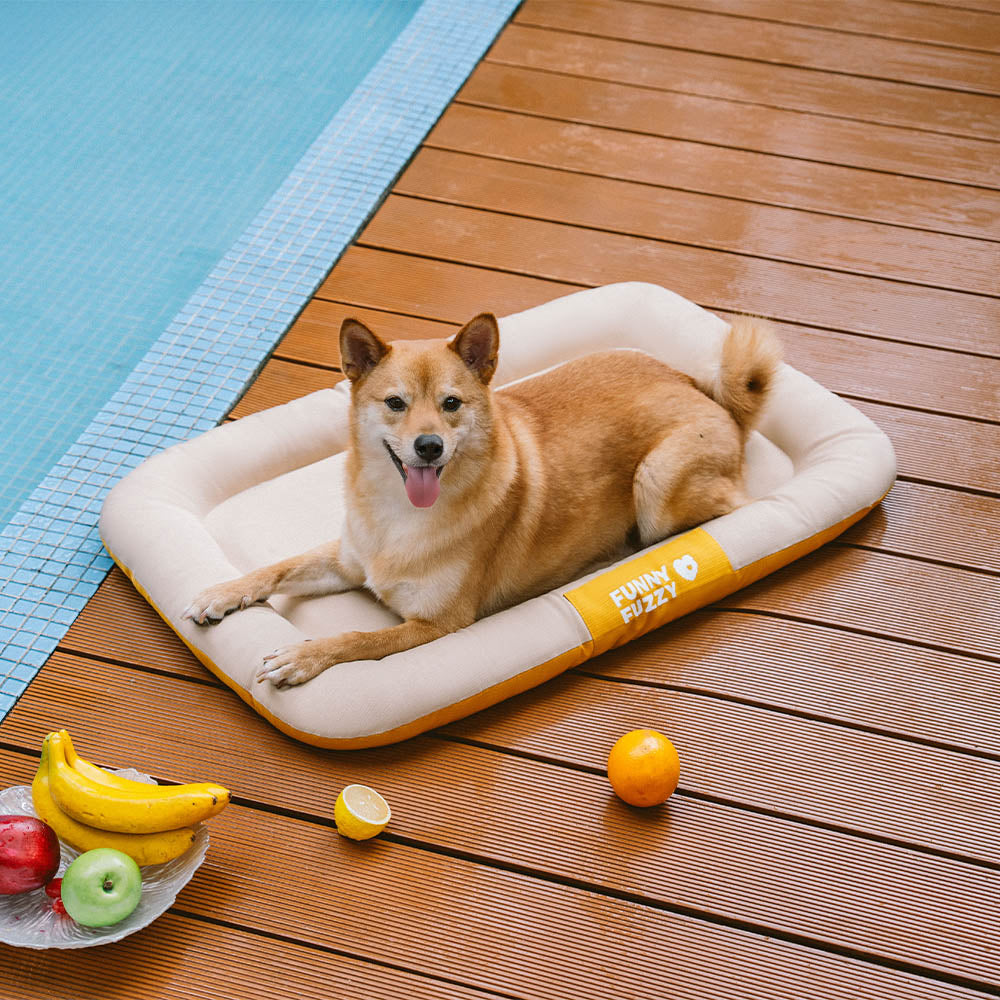 Manta ortopédica para perros resistente al agua y a los arañazos de colores bloqueados para exteriores - Trek Lounge