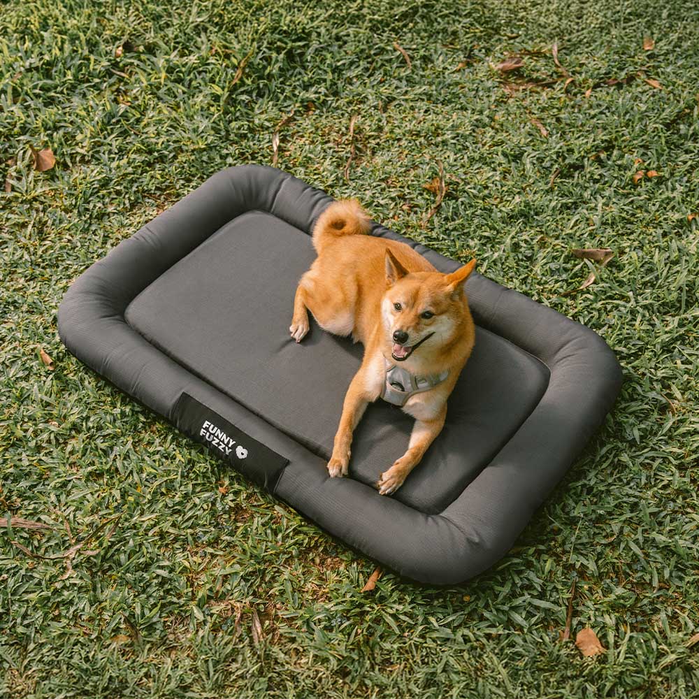 Manta ortopédica para perros resistente al agua y a los arañazos de colores bloqueados para exteriores - Trek Lounge