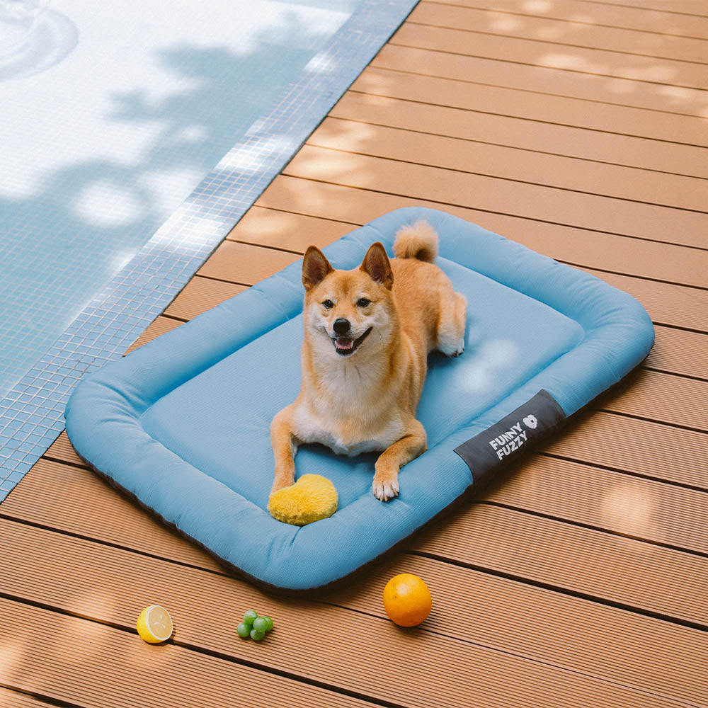 Manta ortopédica para perros resistente al agua y a los arañazos de colores bloqueados para exteriores - Trek Lounge