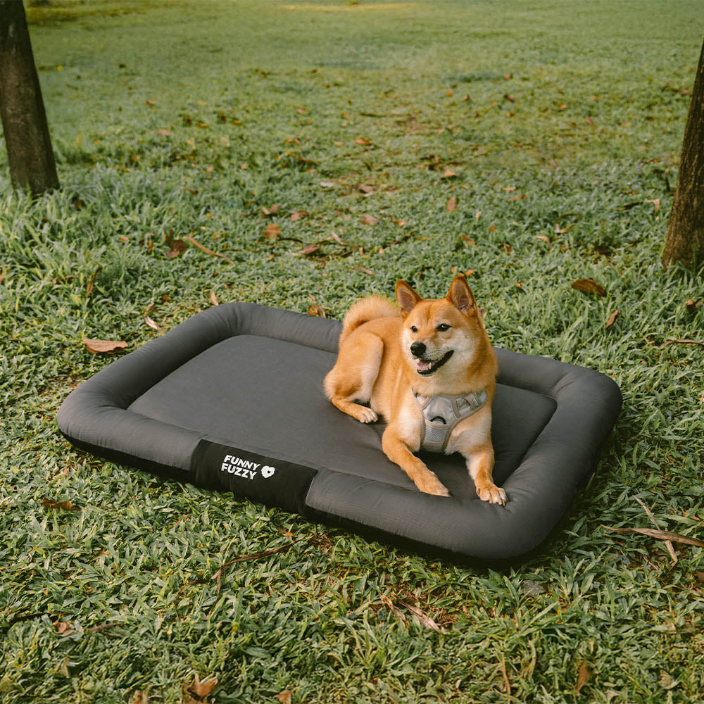 Manta ortopédica para perros resistente al agua y a los arañazos de colores bloqueados para exteriores - Trek Lounge