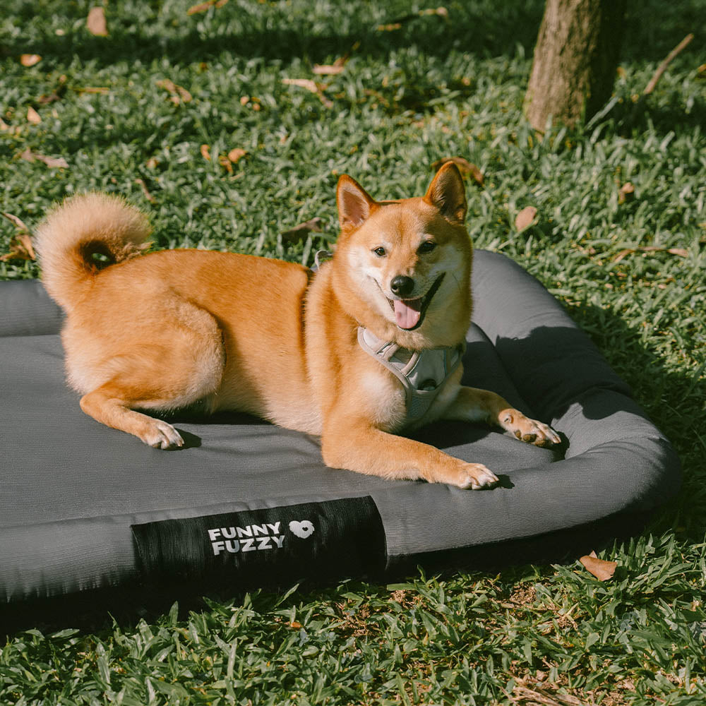Manta ortopédica para perros resistente al agua y a los arañazos de colores bloqueados para exteriores - Trek Lounge