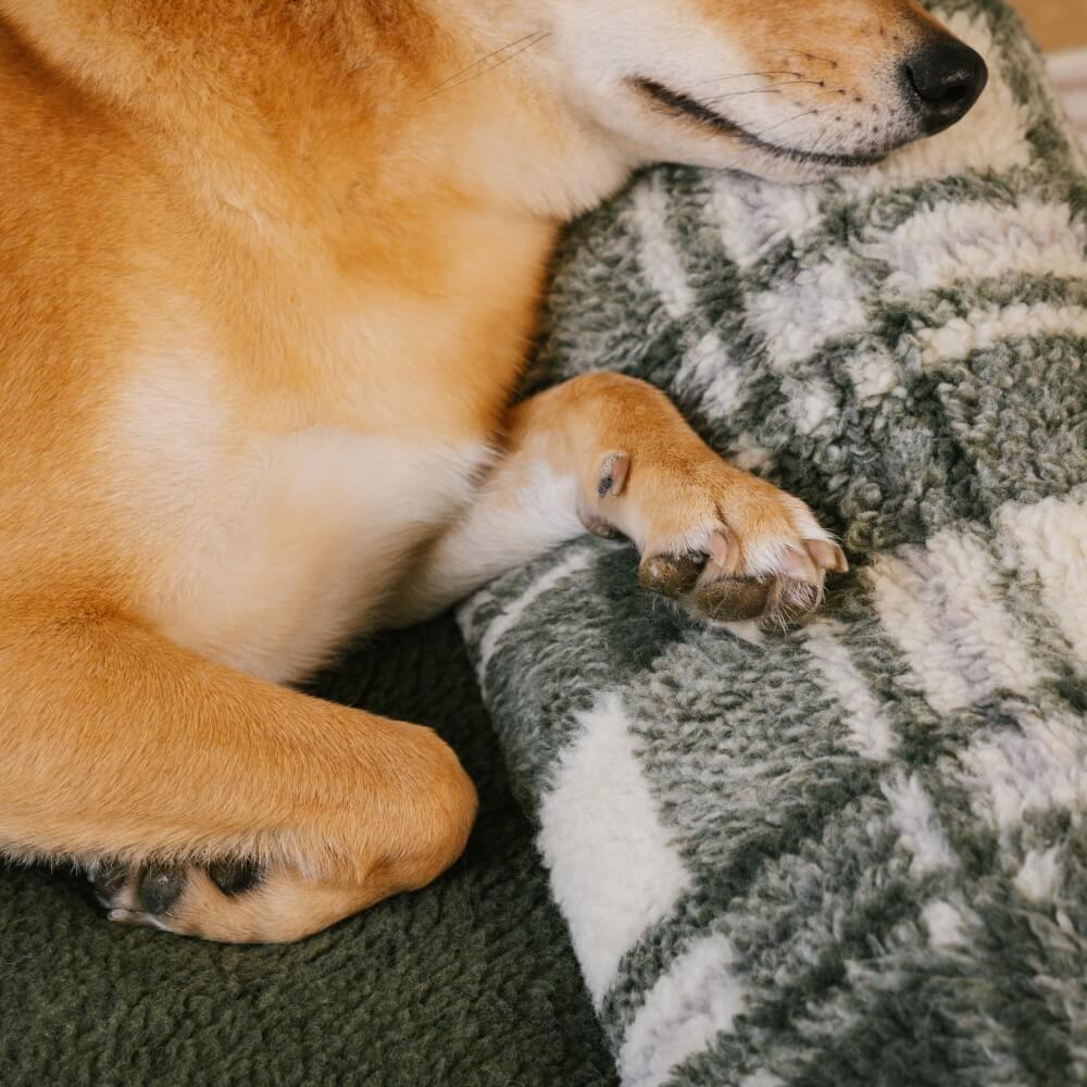 Sofá cama vintage a cuadros lavable y relajante para perros y gatos