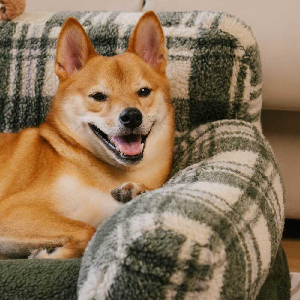 Sofá cama vintage a cuadros lavable y relajante para perros y gatos