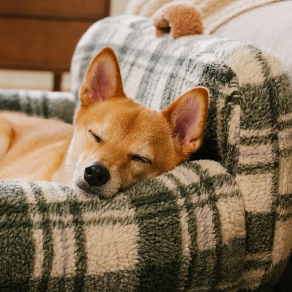 Sofá cama vintage a cuadros lavable y relajante para perros y gatos