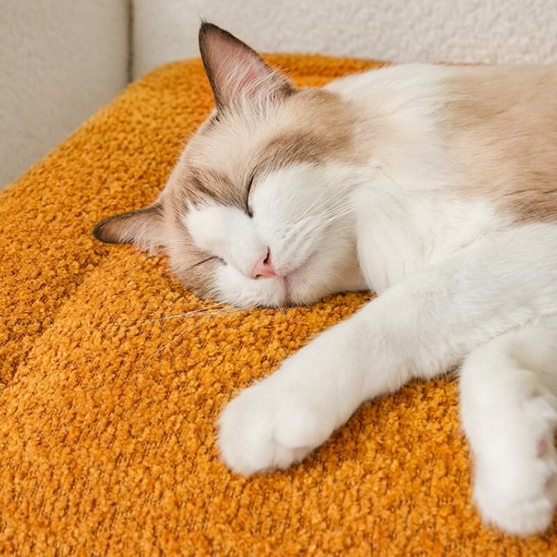 Alfombrilla de felpa antideslizante, cálida y cómoda para mascotas