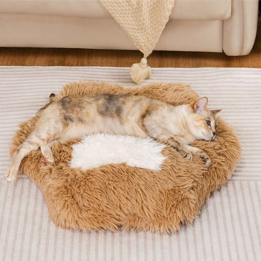 Punto de patada de cama de gato sin deslizamiento y esponjoso lavable