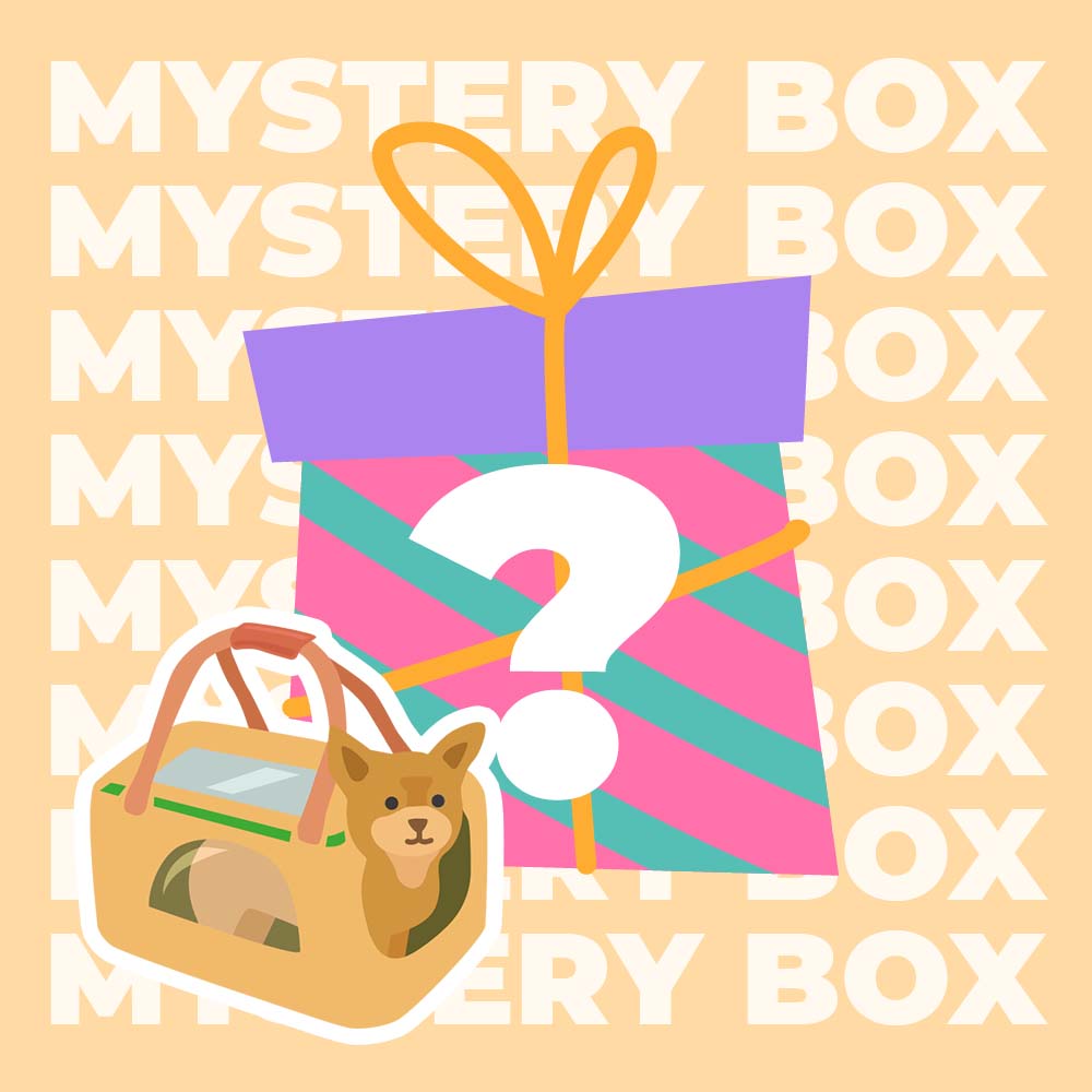 Kit de viagem seguro para cães com até 15 kg - $ 220 VALOR MYSTERY BOX