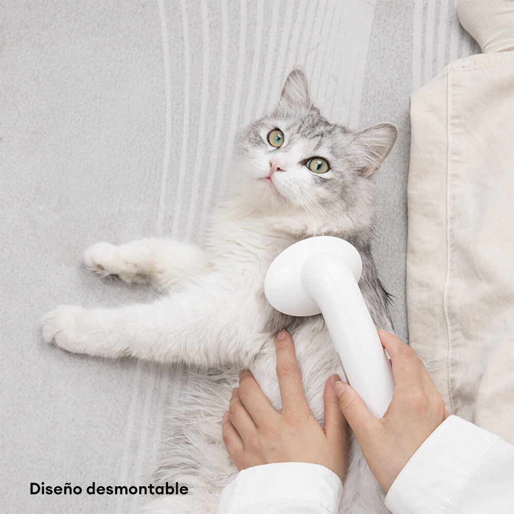 Dispensador de champú 2 en 1 y cepillo de baño para perros con masajeador