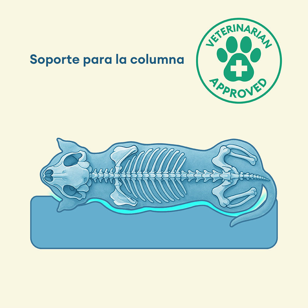 Cama para perro grande ortopédica y totalmente impermeable con soporte envolvente