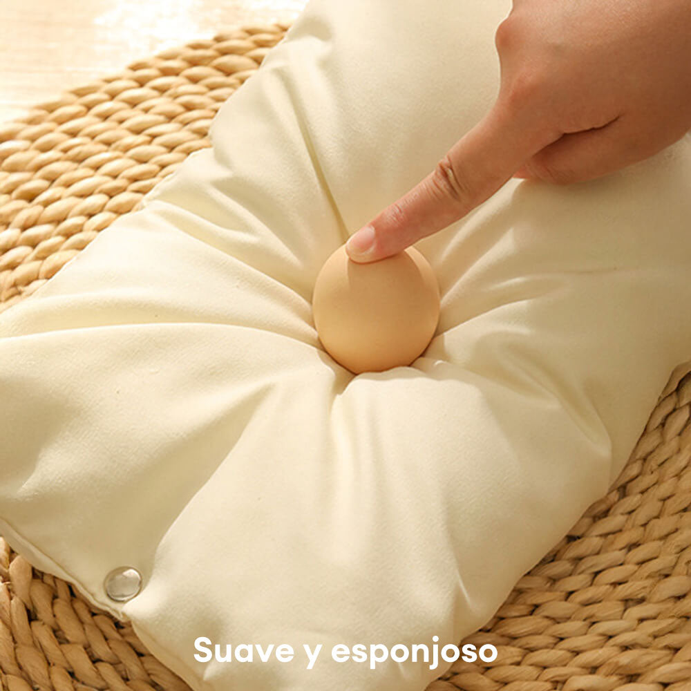 Bolsa transportadora para perros y gatos con estilo, a rayas y amigable para viajar