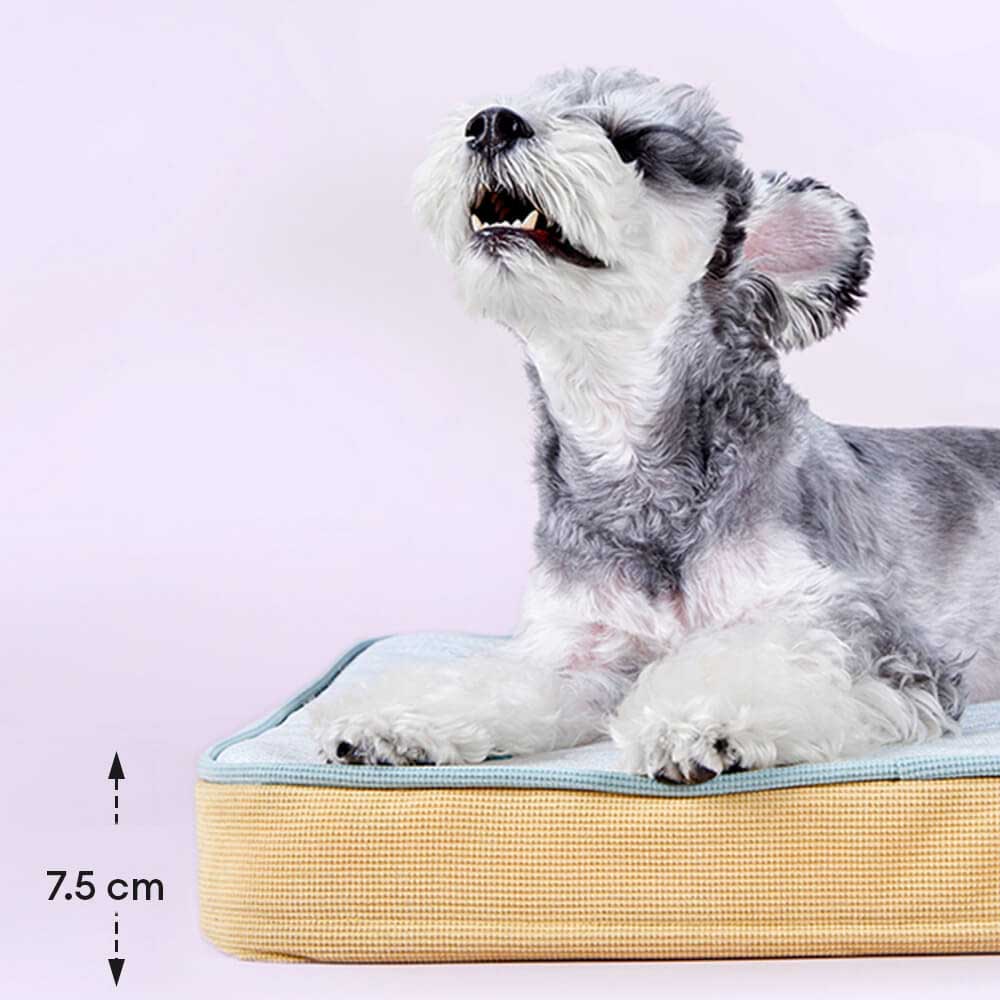 Cama ortopédica para perros transpirable de temporada con forro impermeable y almohada