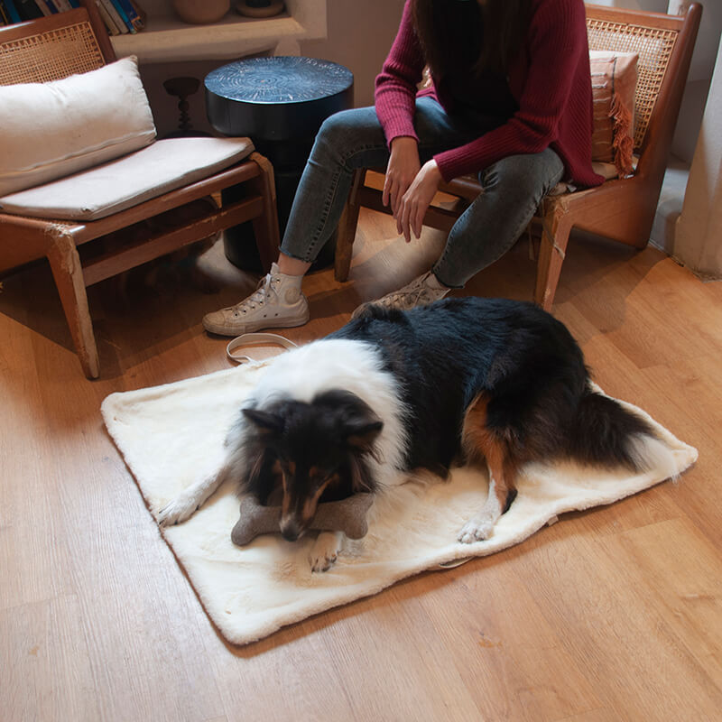 Alfombra de perros portátil