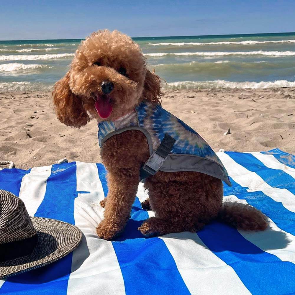Cobertura del asiento del automóvil para perros- vacaciones