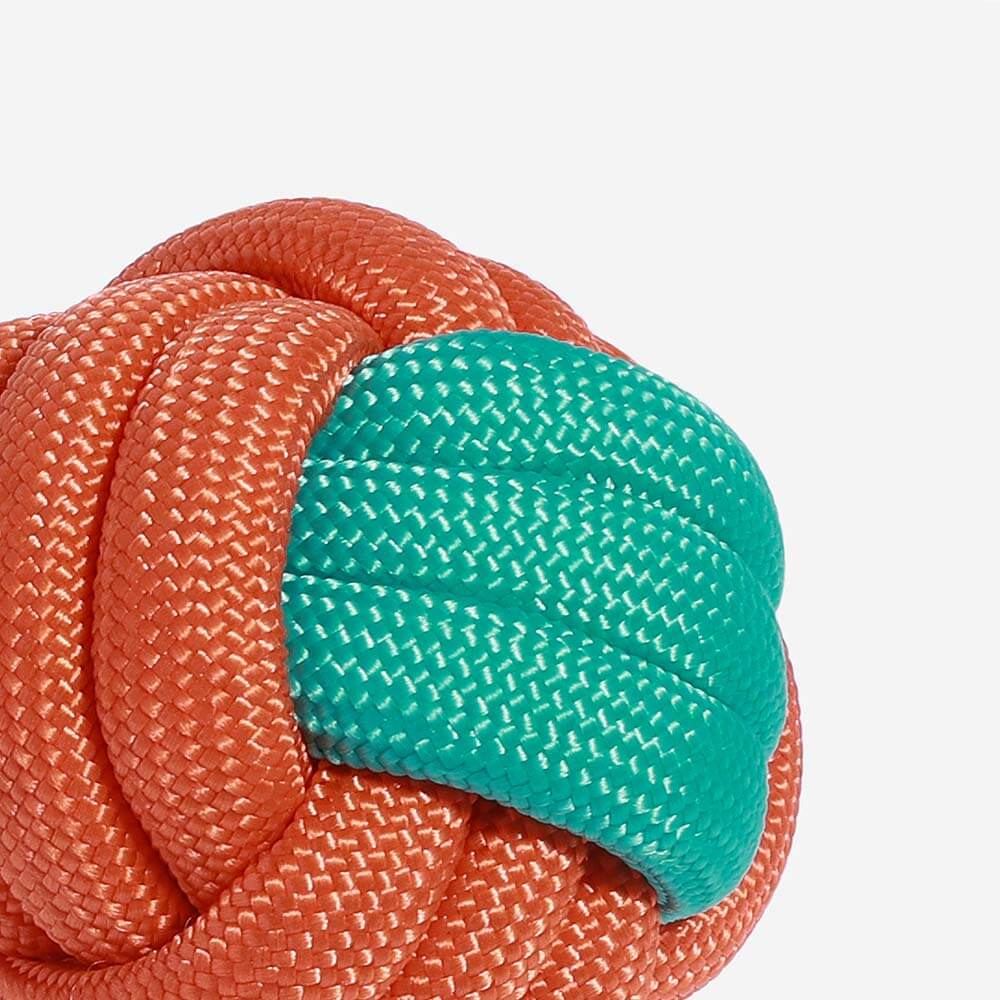 Juguete para perros con cuerda de nudos - <tc>Color</tc> Choque