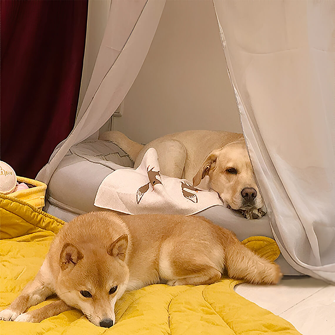 Manta para perros de forma de hoja con cama para perros de donas regalos de perro de lujo