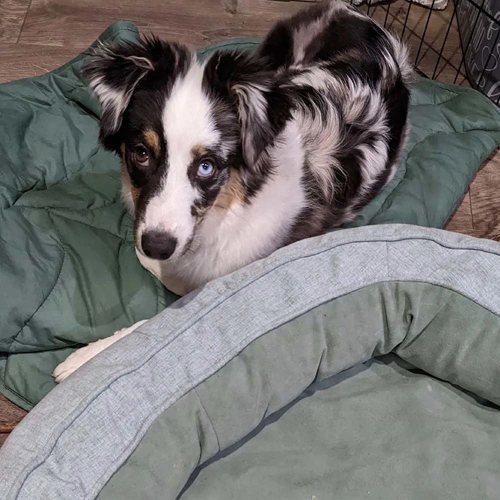 Manta para perros de forma de hoja con cama para perros de donas regalos de perro de lujo